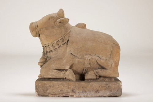 Sandstone Nandi bull.