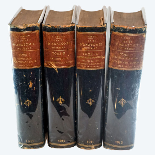 L. TESTUT, TREATISE ON HUMAN ANATOMY, 4 volumes, 1911 - 1912