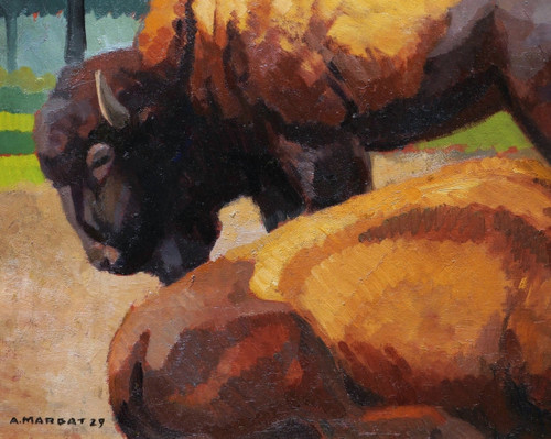 André MARGAT, American bison