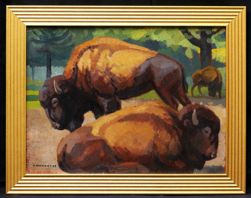 André MARGAT, American bison