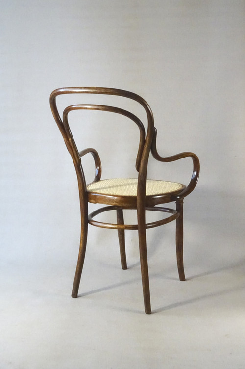 Fauteuil bistrot canné N°14 , par Hofmann 1895, Art nouveau . no Thonet