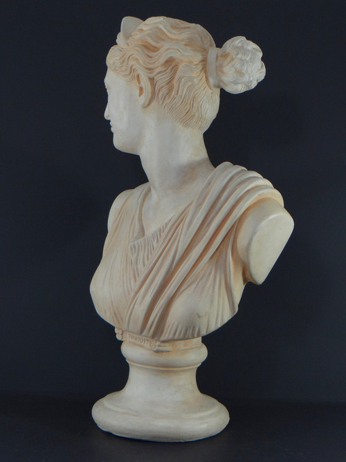 France, Années 1950/1960, Buste En Plâtre Figurant Aphrodite, Déesse Antique Grecque.