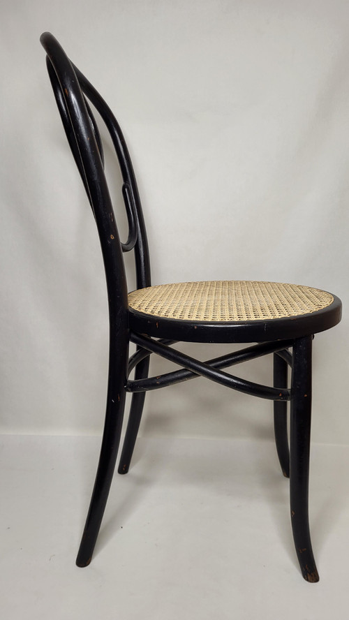 Pair of Art Nouveau Omega Chairs in bentwood, blackened