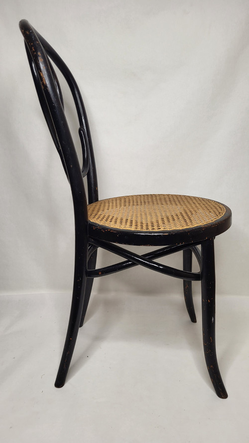 Pair of Art Nouveau Omega Chairs in bentwood, blackened