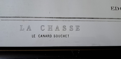 Engraving of Chasse le Canard souchet after Edouard Traviés