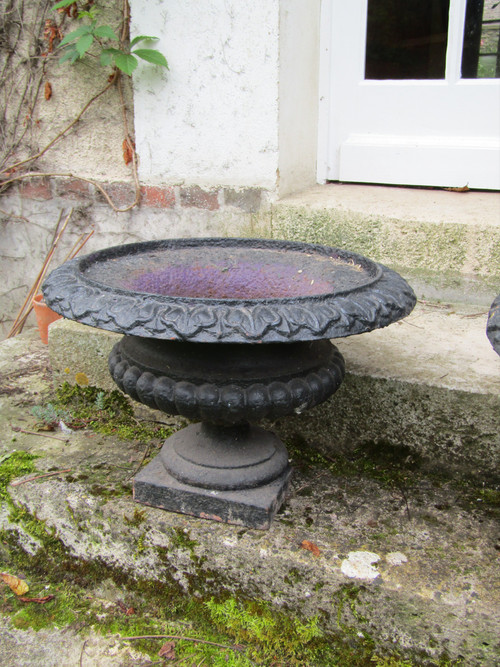 Pair of basins