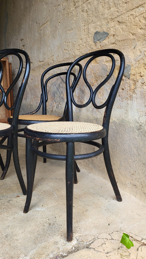 4 Art Nouveau bentwood chairs