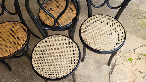 4 Art Nouveau bentwood chairs