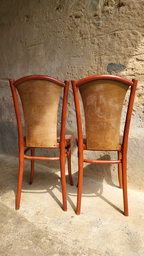 Coppia di sedie Art Nouveau di Thonet 1900