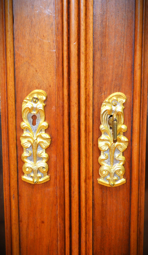 Vitrine Bibliothèque Art Nouveau