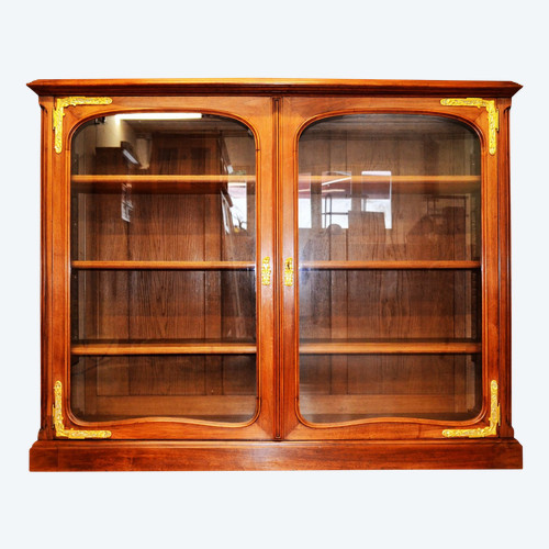 Vitrine Bibliothèque Art Nouveau