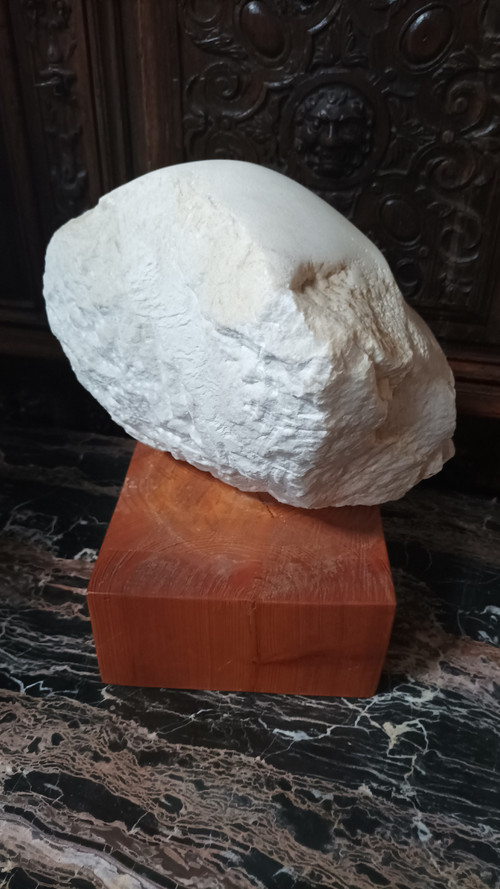 Face bust stone sculpture