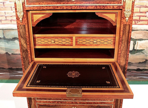 Secretaire in Cedar and Thuya Burl, Louis XVI style, Napoleon III period - 19th century