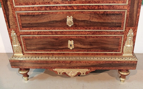 Secretaire in Cedar and Thuya Burl, Louis XVI style, Napoleon III period - 19th century