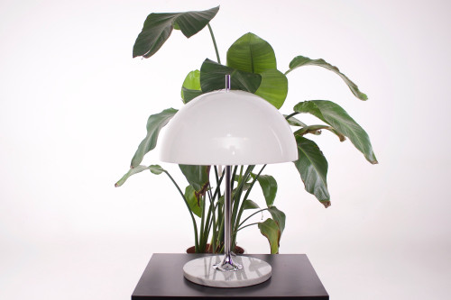 Tulip" lamp