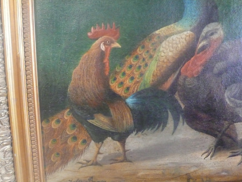 Quadro raffigurante un pavone, un gallo e un tacchino firmato Jules Bracq.