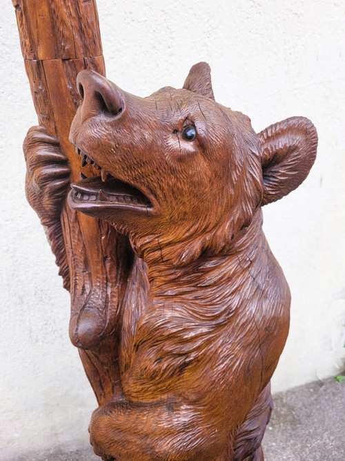 Bear coat rack, Black Forest, Late 19th Early 20th Century