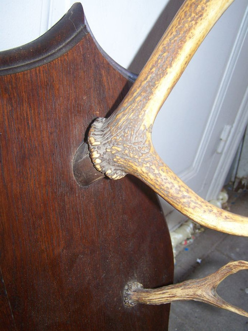 Early 20th century deer antler coat rack