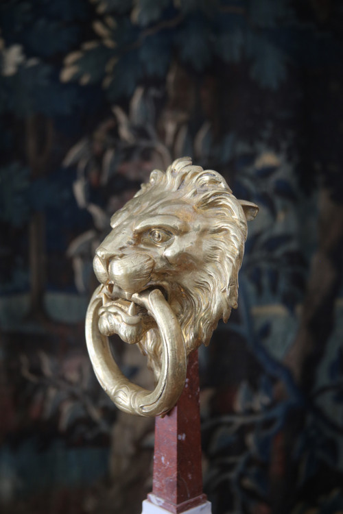 Gilt bronze knocker with lion's head, work from the 20th century.