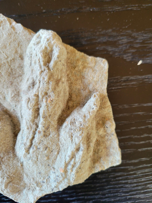 Placca geologica di impronte tridattili di dinosauri bipedi del Veillon infralias (Vendée)