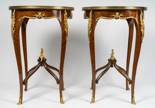 Pair of Louis XV style pedestal tables, early 20th century 