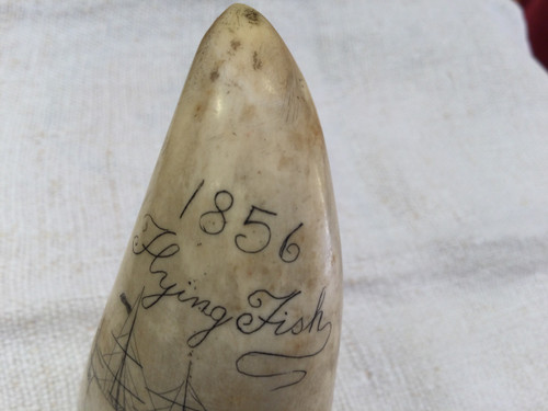 Scrimshaw 19th century 