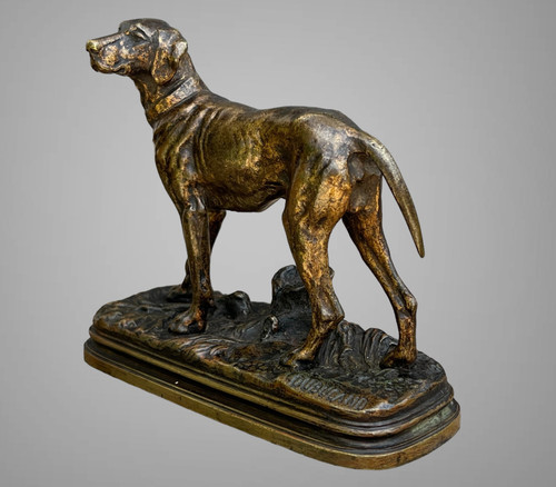 ANCIENT BRONZE SIGNED "ALFRED DUBUCAND 1828-1894" REPRESENTING A HUNTING DOG