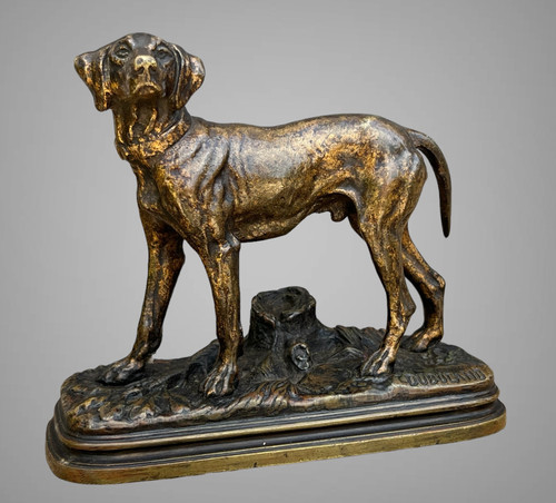 ANCIENT BRONZE SIGNED "ALFRED DUBUCAND 1828-1894" REPRESENTING A HUNTING DOG