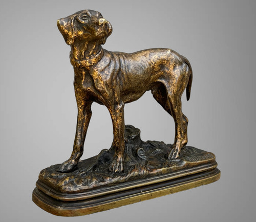 ANCIENT BRONZE SIGNED "ALFRED DUBUCAND 1828-1894" REPRESENTING A HUNTING DOG