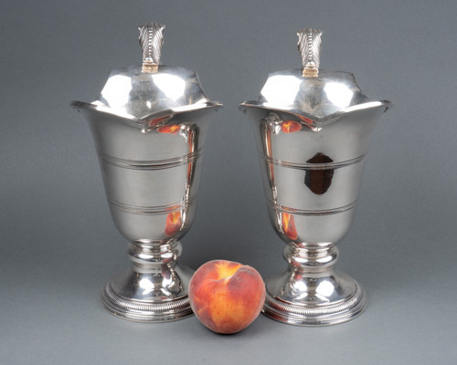 Pair of Solid Silver Ewers, 19th Century