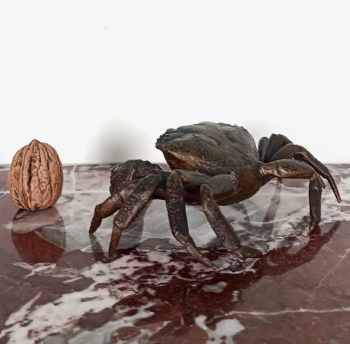 Kunstkammer - crabe en bronze patiné - genre de Padoue à la Renaissance