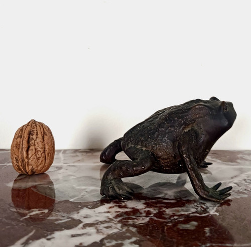 Kunstkammer - Patinated bronze toad - Renaissance Padua style