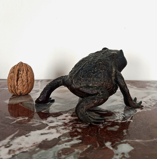 Kunstkammer - Patinated bronze toad - Renaissance Padua style