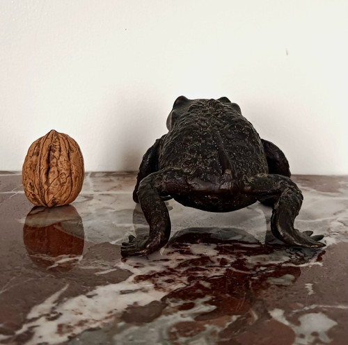 Kunstkammer - Patinated bronze toad - Renaissance Padua style