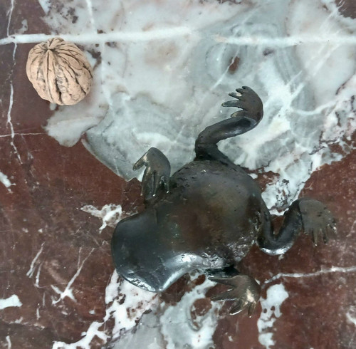 Kunstkammer - Patinated bronze toad - Renaissance Padua style