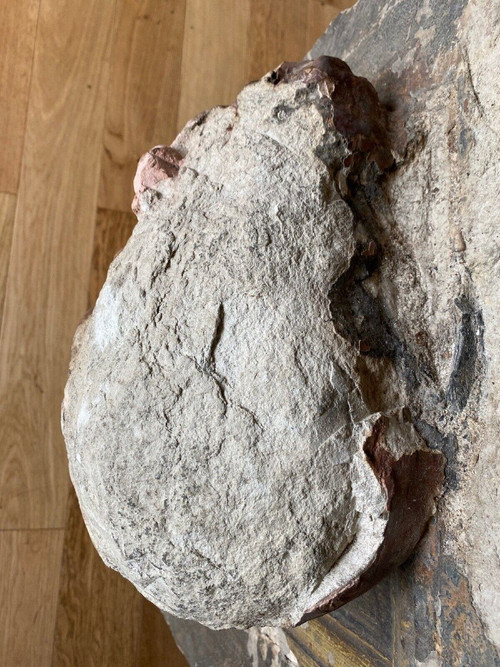 Sculpture, profile of a man with facial hair, stone, direct cut 20th century