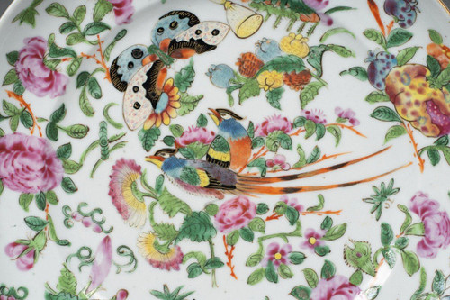 Assiette en porcelaine de Canton XIXe décor de papillons et d'oiseau