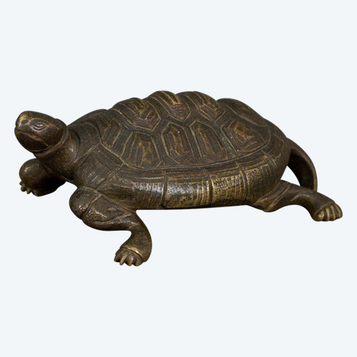 Tortue en bronze XIXe patine brune nuancée claire fine ciselure