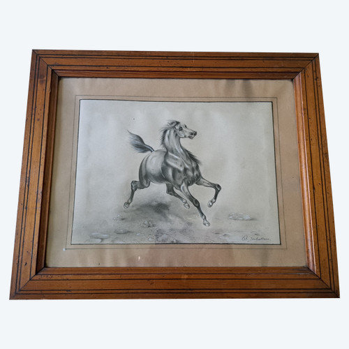 French School , A Horse , Drawing , XIX°.