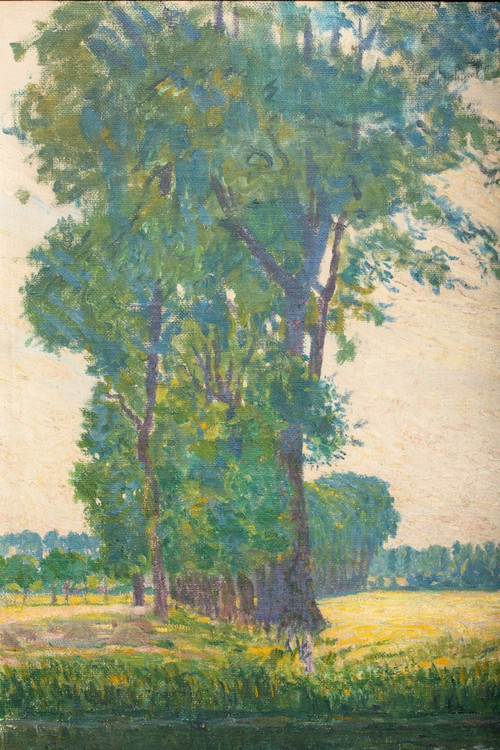 Veduta di Afsnee di Fritz Van Loo (1871-1957)