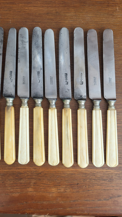 12 knives with steel blades and ivory handles, 19th century