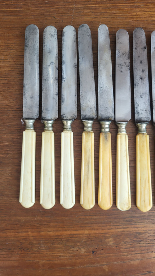 12 knives with steel blades and ivory handles, 19th century