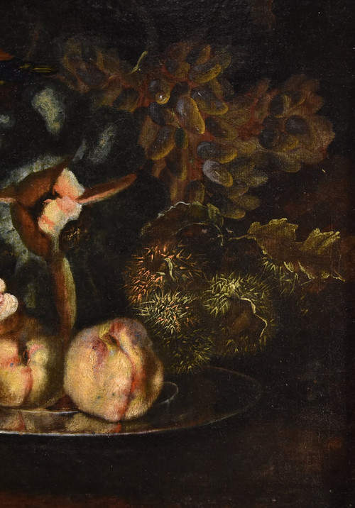 Still Life Of Fruit With Green Woodpecker, Franz Werner Von Tamm (hamburg 1658 - Vienna 1754) 