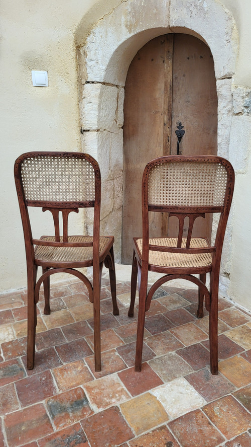 2 Chaises Art Nouveau en bois courbé