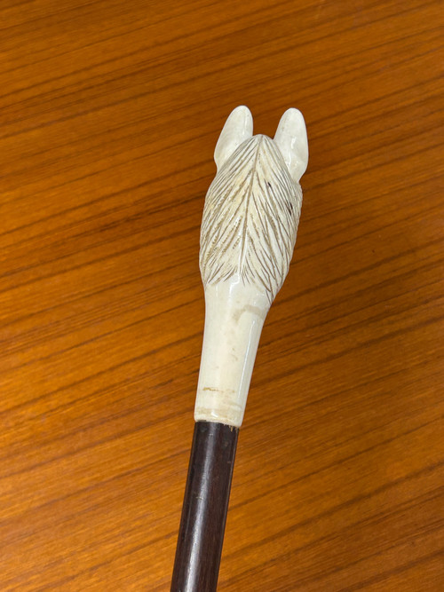 Antique Cane Or Walking Stick Carved Ivory Dog Head Late 19th Century