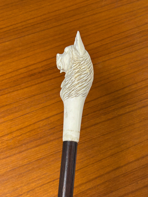 Antique Cane Or Walking Stick Carved Ivory Dog Head Late 19th Century