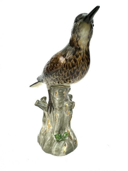 Meissen - Figura in porcellana di un Turdidae