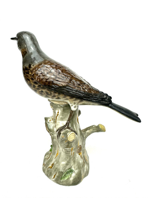 Meissen - Figura in porcellana di un Turdidae