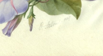 Watercolor on Genuine Calf Vellum by Olympe ARSON (1814-)