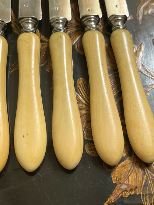 6 late 19th century fruit knives with silver blades